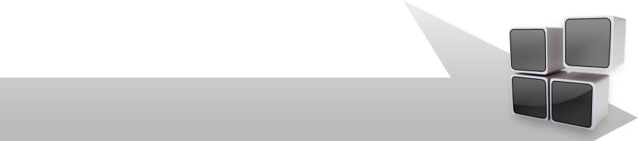 �����̔�N�O���ˊo�͌o����蒧�킩�琶�܂��Ǝv�����R